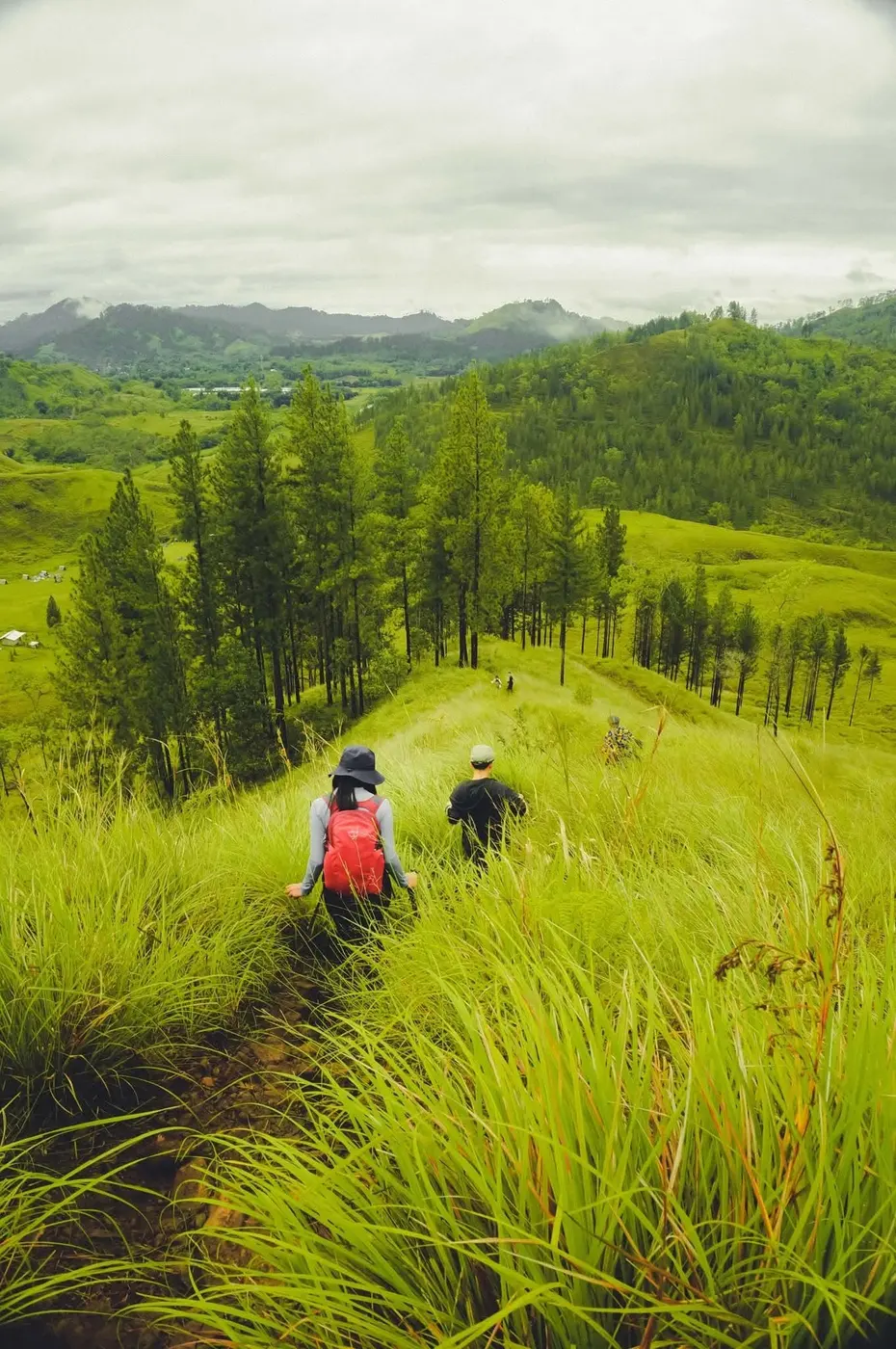 Grassland Ridge Trek